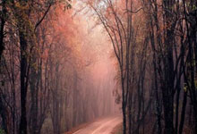 云南空中走廊：风雨飘摇中的告别与重塑