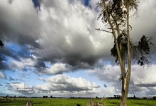 燃情赛场，死磕到底！主力球员神勇发挥，连入数球铸就辉煌