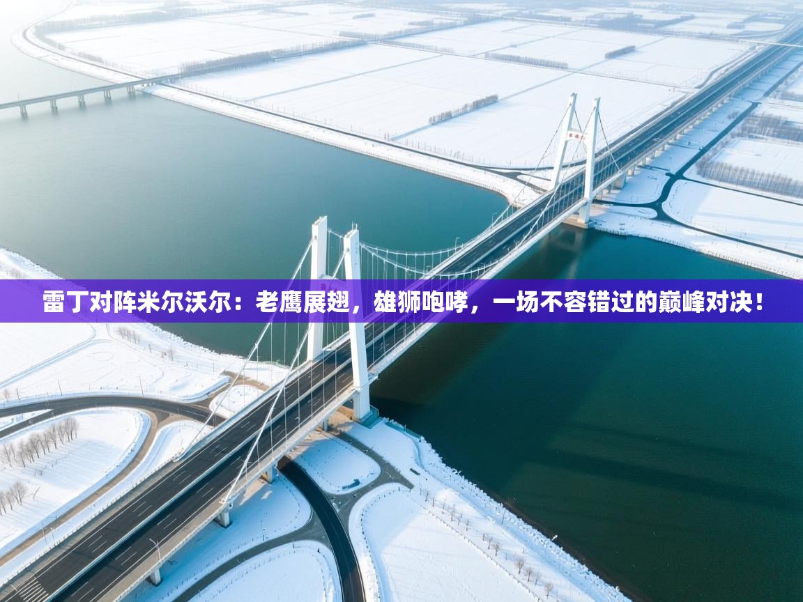 雷丁对阵米尔沃尔:老鹰展翅,雄狮咆哮,一场不容错过的巅峰对决!